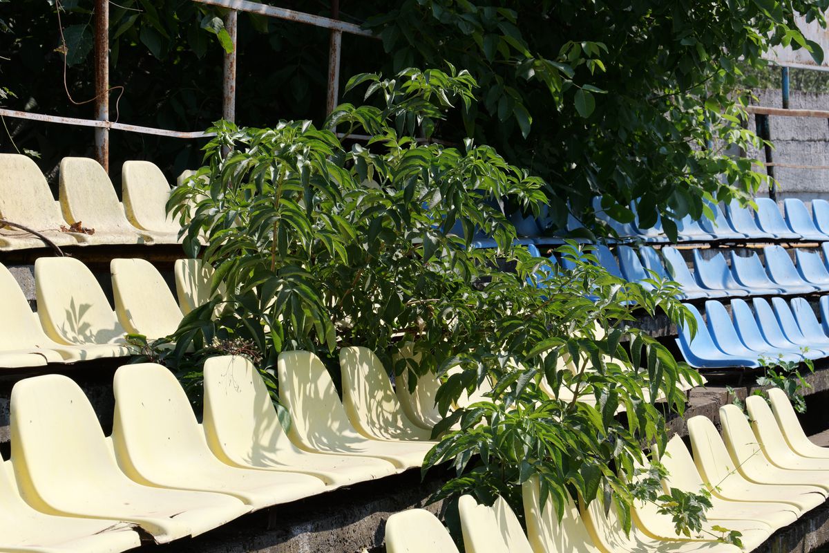 Stadion nou în Superligă: au făcut omologarea, urmează primul meci acolo în istorie!