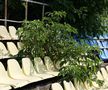 Cum arată stadionul din Slobozia în iulie 2025 / foto: Andrei Furnigă (GSP)
