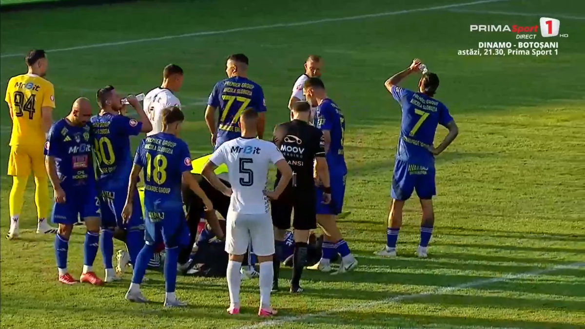 Faultul lui Palmeș asupra lui Afalna