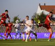 FC Argeș - FC Botoșani 2-3. A trecut doar un meci, dar își anunță retragerea: „Antrenor sigur nu voi fi!”