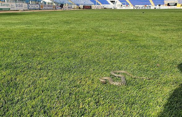 VIDEO + FOTO Imagini șocante în Liga 1! Ce au văzut jucătorii pe gazon inainte de meci