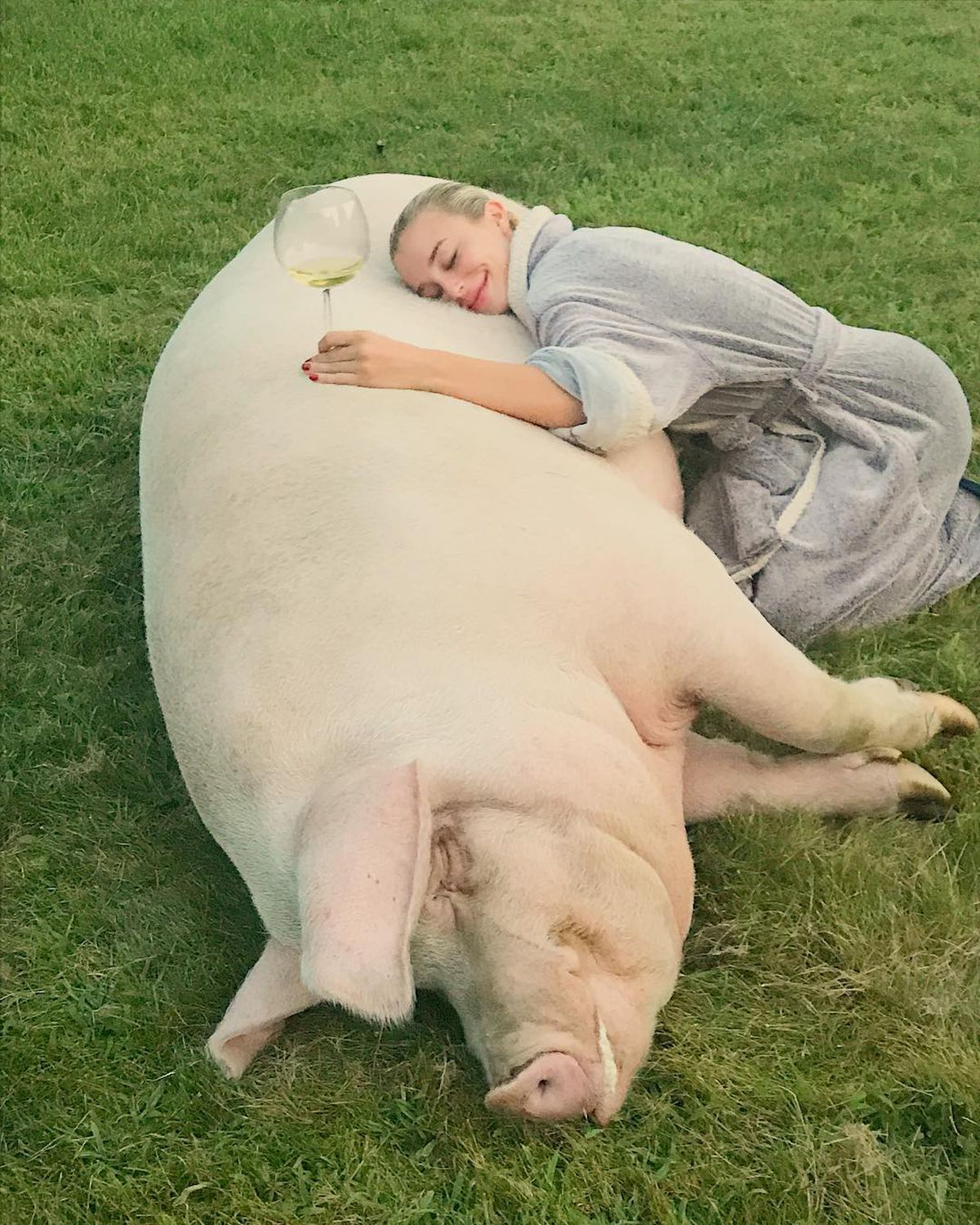 Iubita campionului de la US Open are un porc de jumătate de tonă. Pozele sunt fabuloase