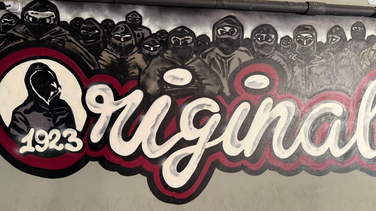 Desene brigăzi Rapid