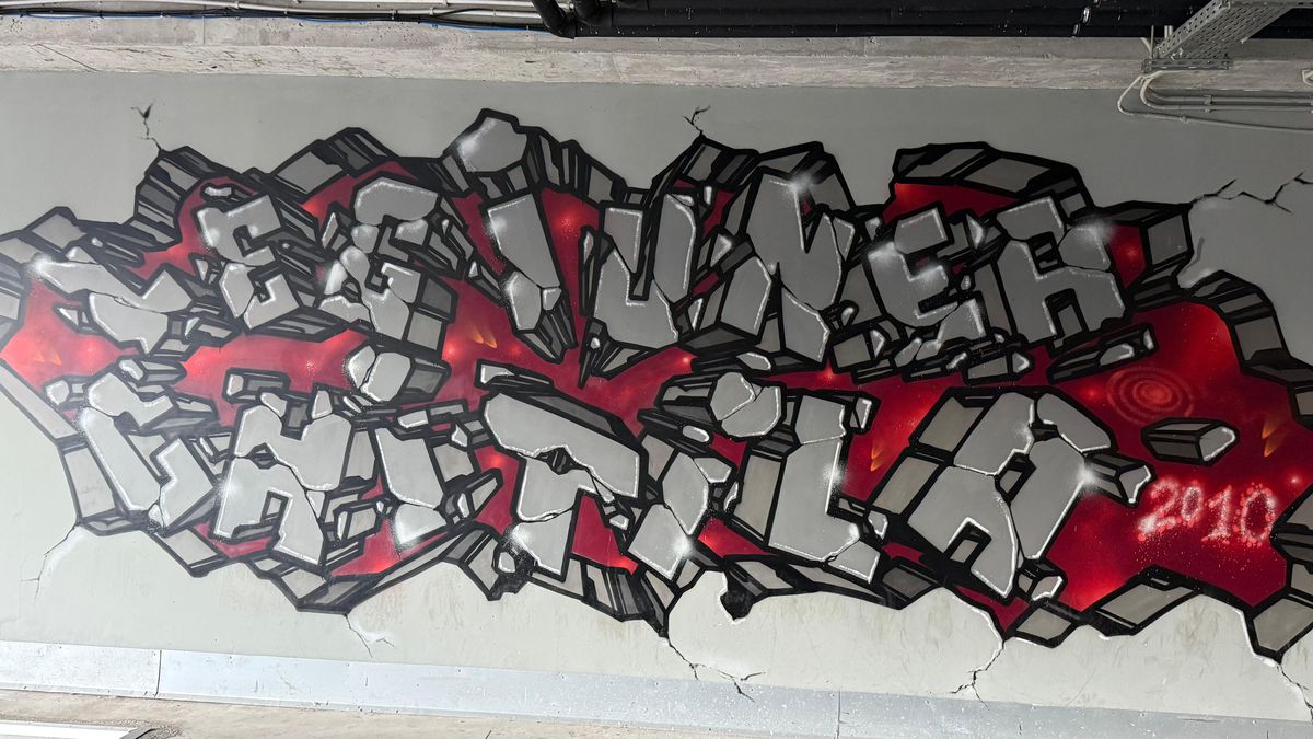 Imagini care nu au fost făcute publice până acum » Ce se ascunde sub peluza arenei din Giulești