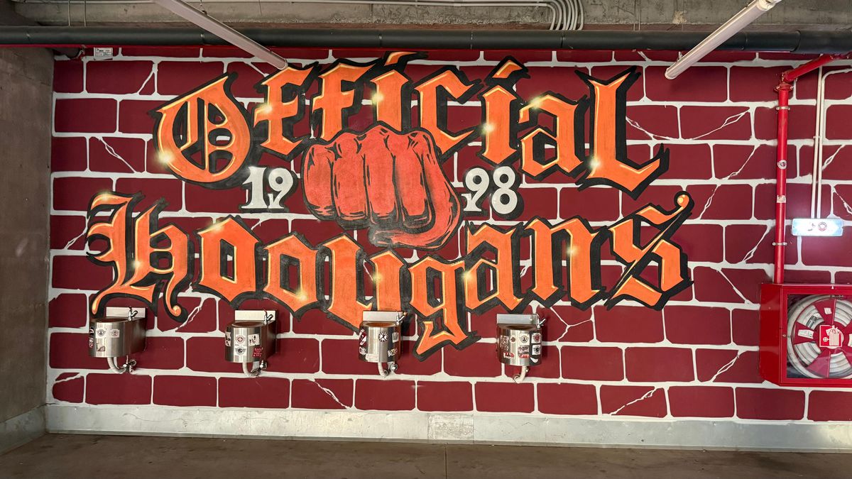 Desene brigăzi Rapid