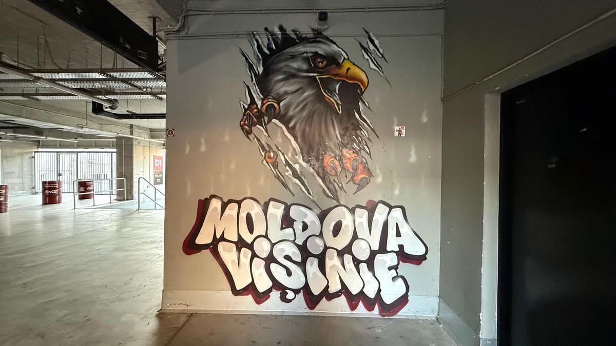 Imagini care nu au fost făcute publice până acum » Ce se ascunde sub peluza arenei din Giulești