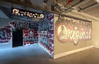 Imagini care nu au fost făcute publice până acum » Ce se ascunde sub peluza arenei din Giulești