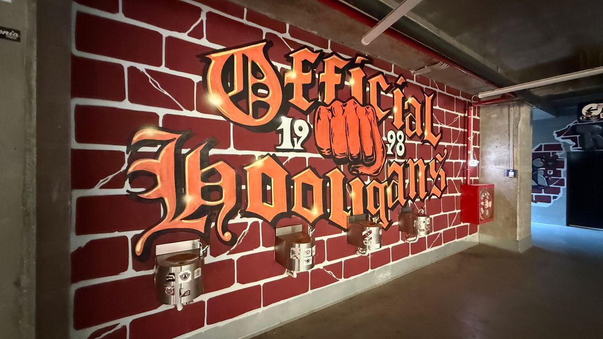 Imagini care nu au fost făcute publice până acum » Ce se ascunde sub peluza arenei din Giulești