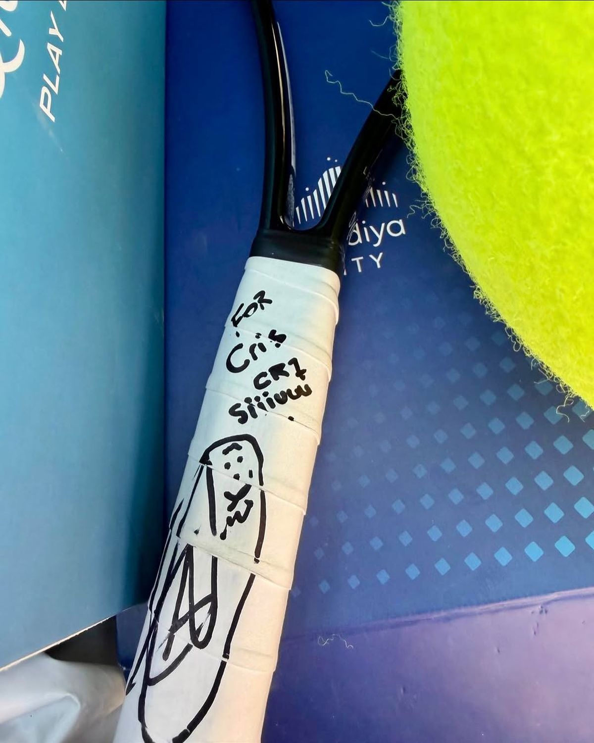 Cristiano Ronaldo și Novak Djokovic