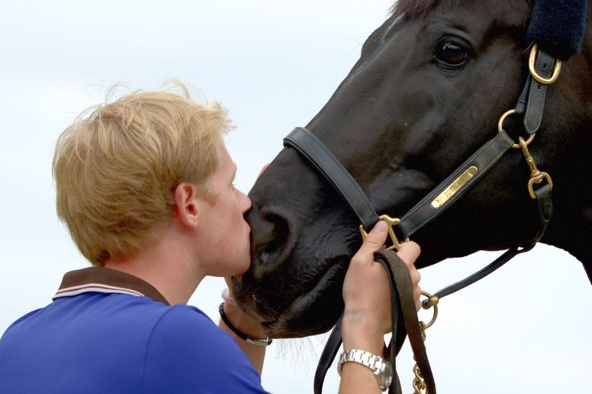Totilas, cel mai faimos cal de dresaj