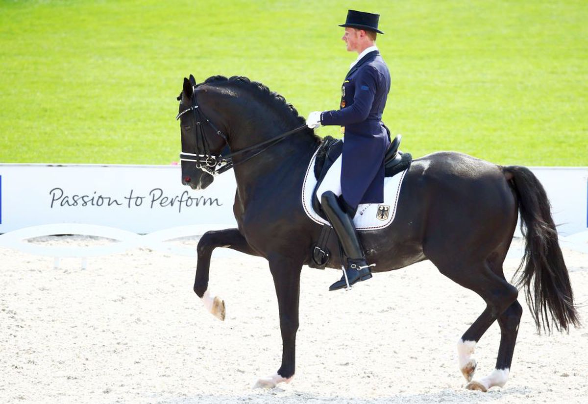 Totilas, cel mai faimos cal de dresaj