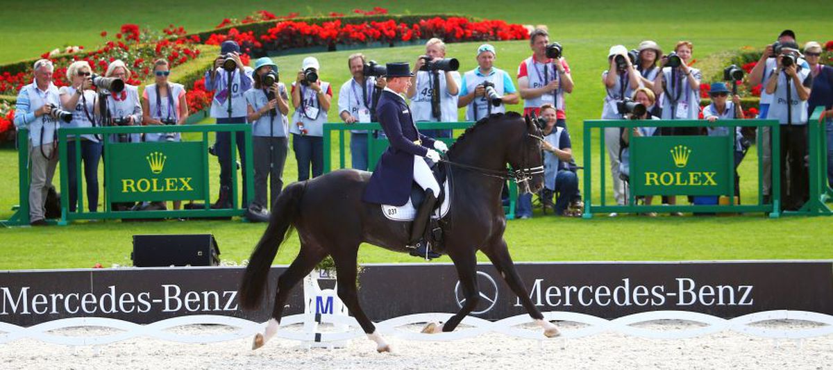 FOTO „Toto”, cel mai faimos cal de dresaj din lume! A costat o sumă fabuloasă și are peste 1000 de mânji