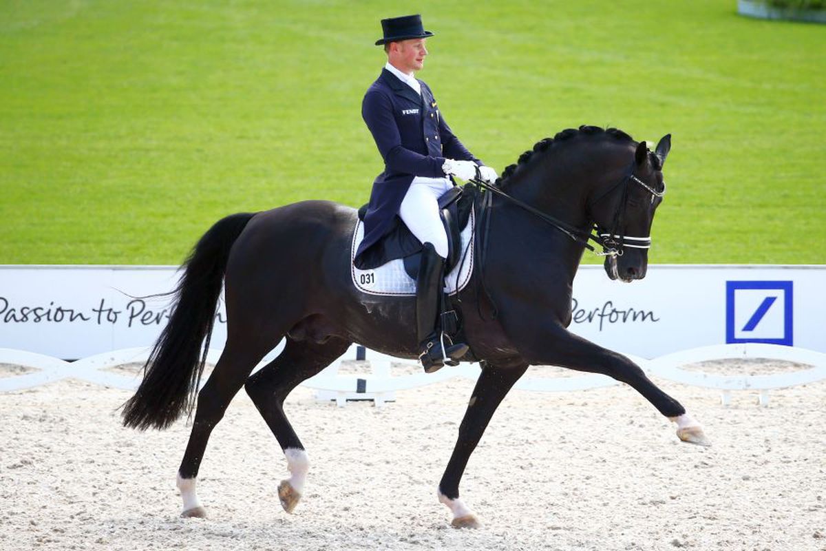 Totilas, cel mai faimos cal de dresaj