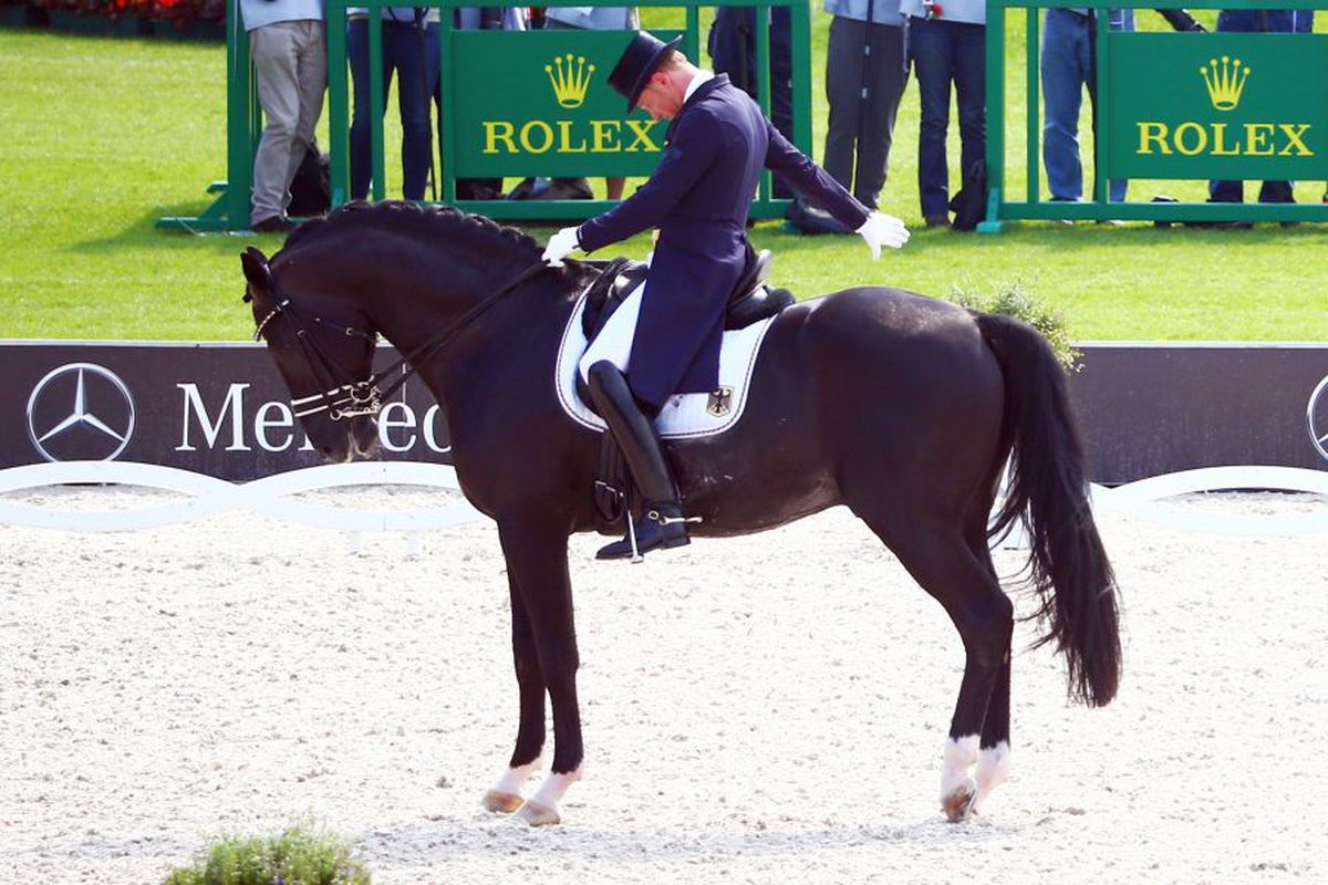 FOTO „Toto”, cel mai faimos cal de dresaj din lume! A costat o sumă fabuloasă și are peste 1000 de mânji