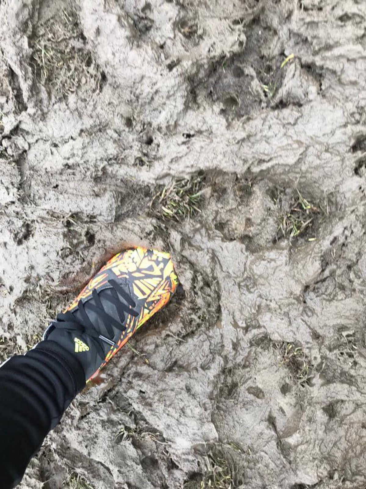 ACS Fotbal Feminin Baia Mare 2 și ACS Colțea 1920 Brașov - Liga 3 Feminin