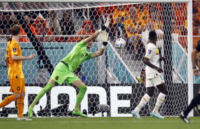 Gigantul debutant salvator! Cine e Noppert, surpriza lui Van Gaal în primul meci de la Mondial