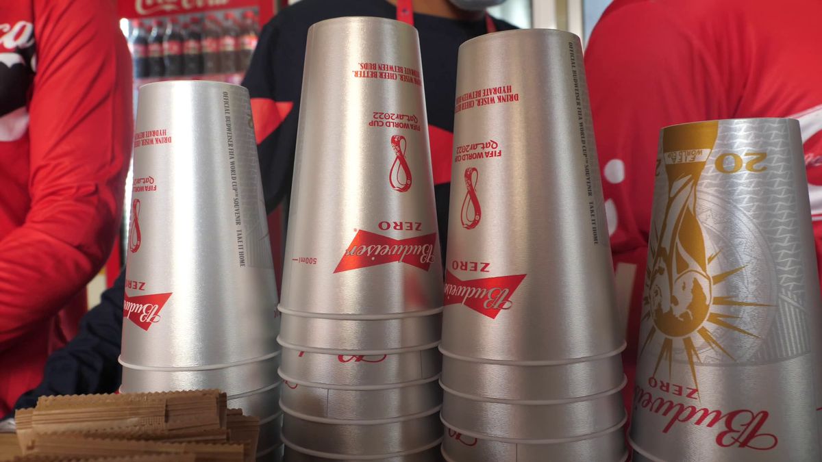 Scene neverosimile surprinse de reporterii GSP la Mondial: „mânați” cu sfoara pe teren, ca în țarc!