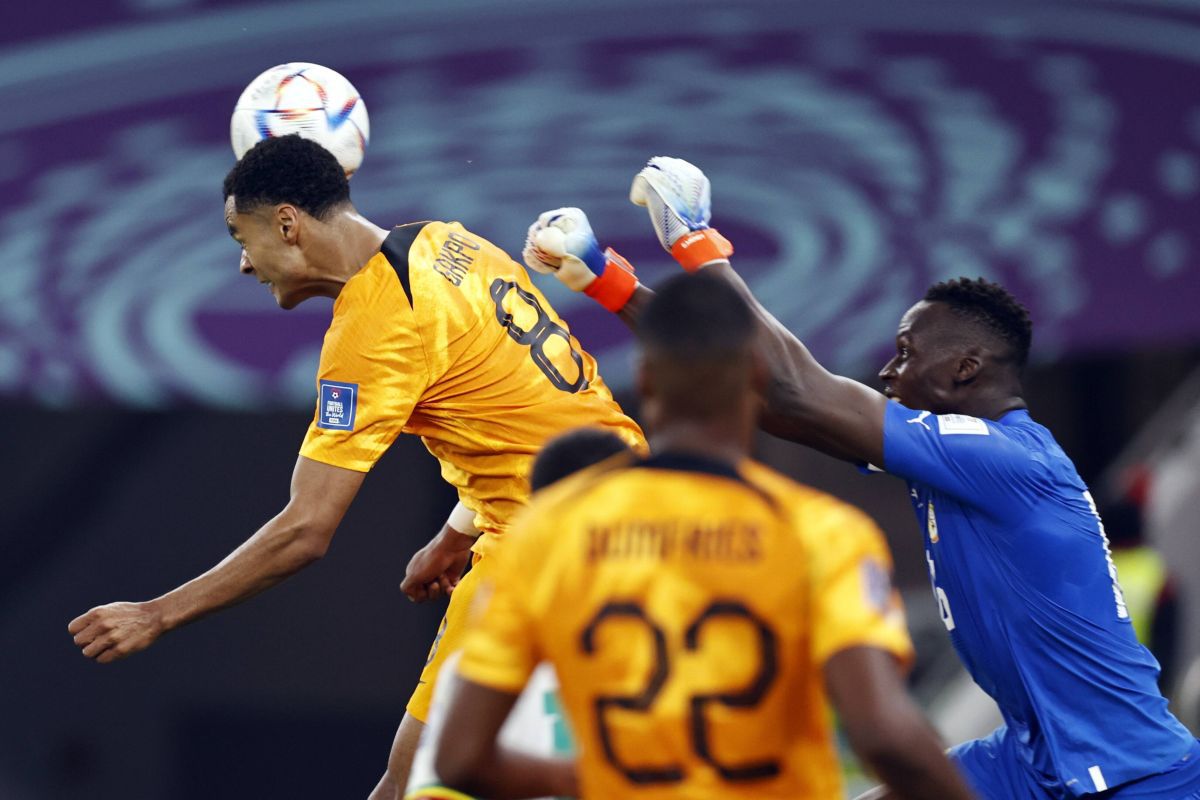 Țările de Jos, victorie muncită cu Senegal » Gafa à la Prunea a deblocat tabela