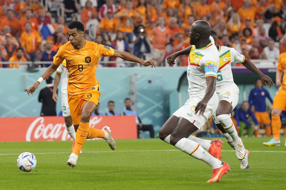 Gigantul debutant salvator! Cine e Noppert, surpriza lui Van Gaal în primul meci de la Mondial