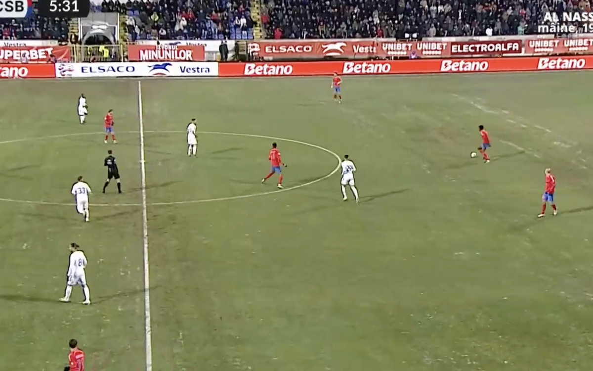 Gazonul de la Botoșani la meciul cu FCSB