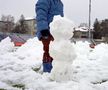 Zăpada căzută pe folie este îndepărtată // foto: Facebook @ Fotbal Club Botoșani