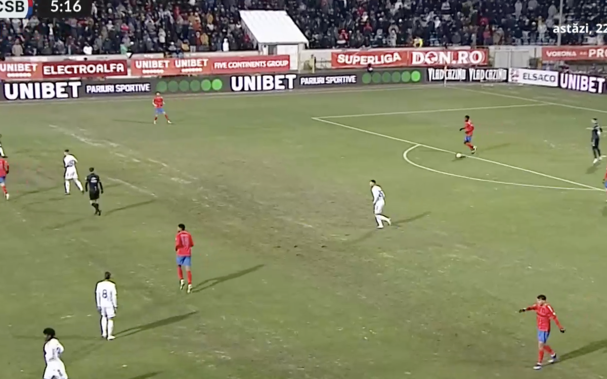 Gazonul de la Botoșani la meciul cu FCSB