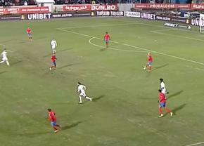 Sărbătorile vin! » Cum a putut să arate gazonul la restanța dintre FC Botoșani și FCSB