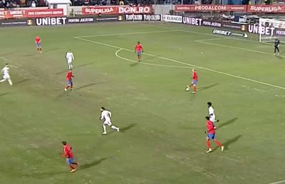 Sărbătorile vin! » Cum a putut să arate gazonul la restanța dintre FC Botoșani și FCSB