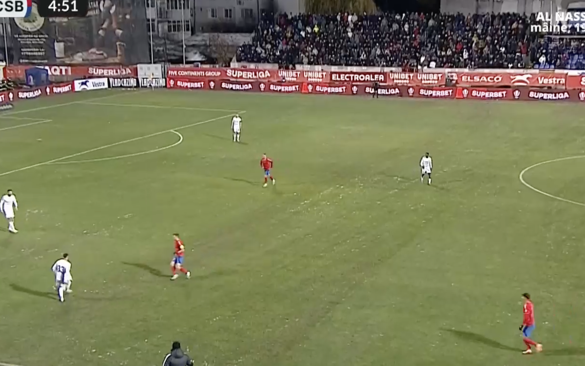 Gazonul de la Botoșani la meciul cu FCSB