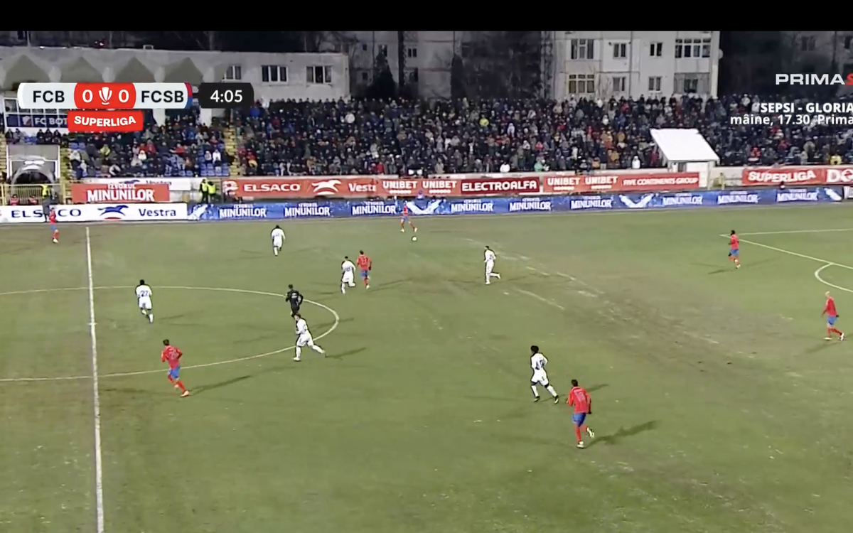 Gazonul de la Botoșani la meciul cu FCSB