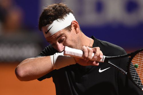 Juan Martin del Potro, forțat să se retragă din cauza accidentărilor/Foto: Getty Images