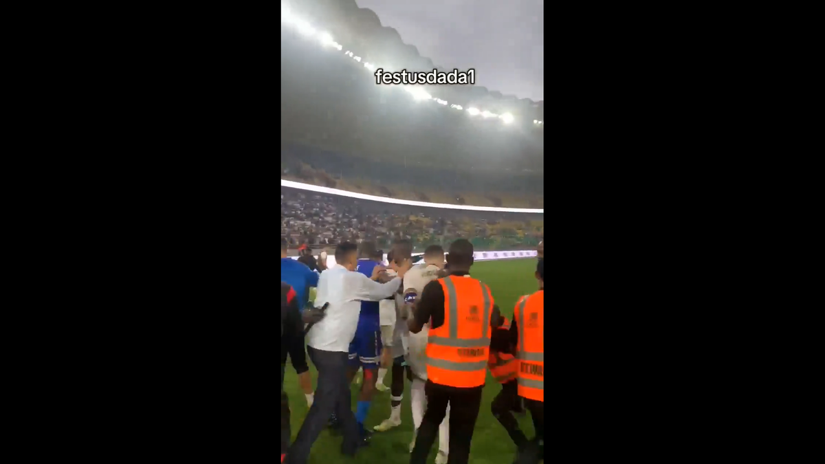 Scene incredibile la meciul lui Laurențiu Reghecampf