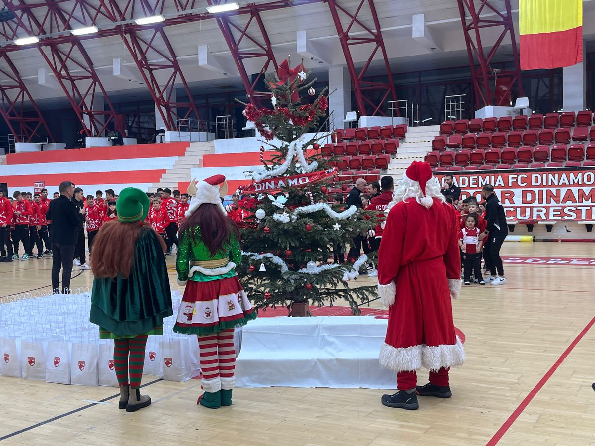 Gafă de față cu Moșul :) » Dinamoviștii au pus steaua-n brad, apoi și-au dat seama de eroare