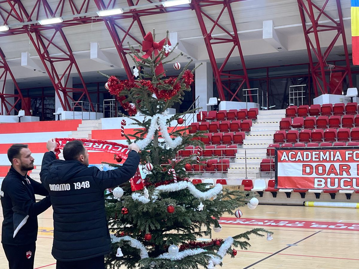Gafă de față cu Moșul :) » Dinamoviștii au pus steaua-n brad, apoi și-au dat seama de eroare