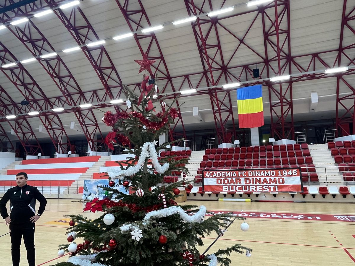 Gafă de față cu Moșul :) » Dinamoviștii au pus steaua-n brad, apoi și-au dat seama de eroare