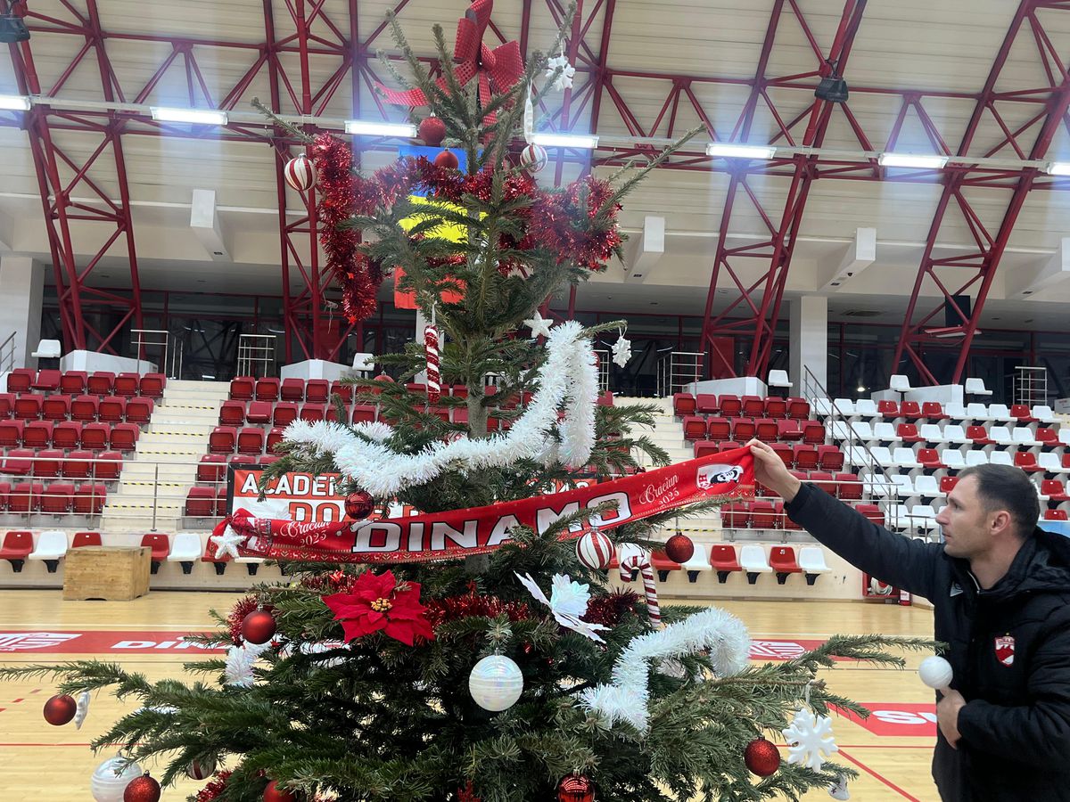 Gafă de față cu Moșul :) » Dinamoviștii au pus steaua-n brad, apoi și-au dat seama de eroare