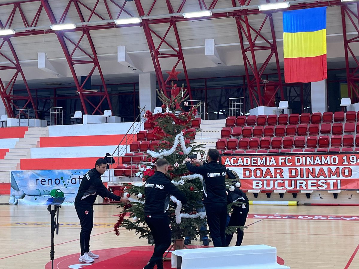 Gafă de față cu Moșul :) » Dinamoviștii au pus steaua-n brad, apoi și-au dat seama de eroare