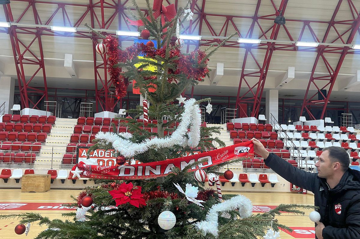 Gafă de față cu Moșul :) » Dinamoviștii au pus steaua-n brad, apoi și-au dat seama de eroare