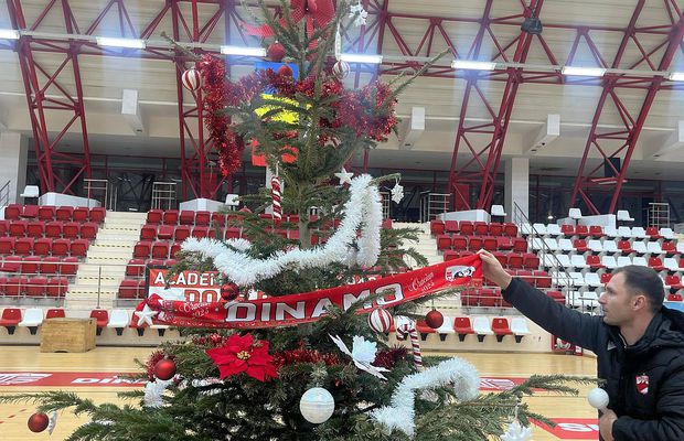 Gafă de față cu Moșul :) » Dinamoviștii au pus steaua-n brad, apoi și-au dat seama de eroare