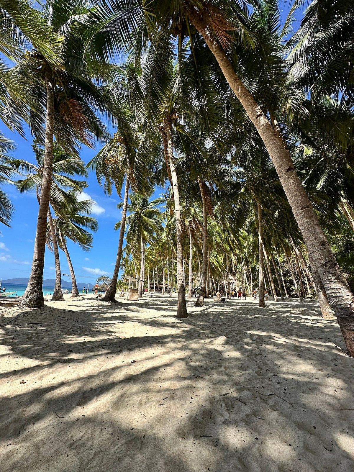 Insulele Filipine. Sursa foto: TripAdvisor