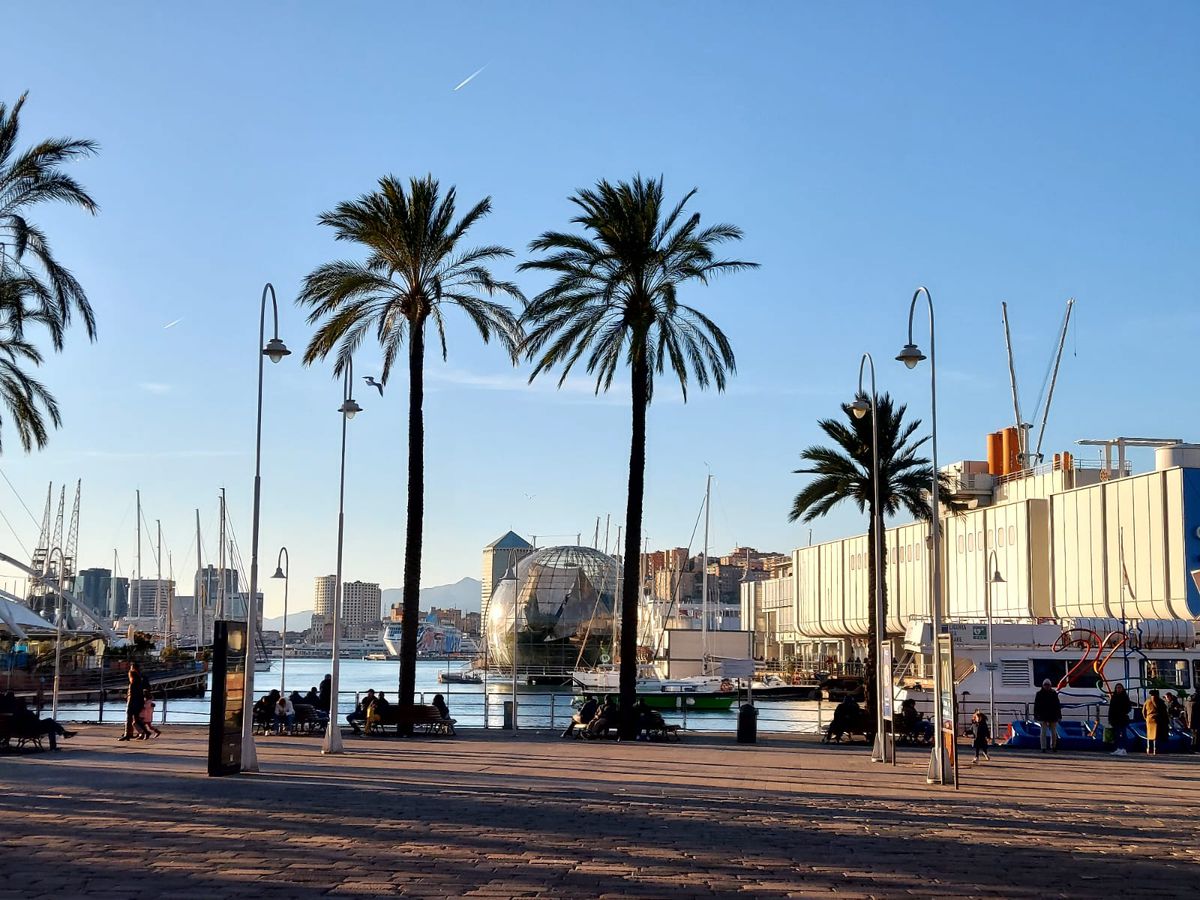 3 detalii din „Genoa mea”, cum a numit-o Dan Șucu » Reporterii Gazetei au luat pulsul orașului: primul impact, real, din stradă, după preluarea clubului italian