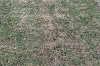 Imagini-șoc înaintea duelului pentru play-off în Superliga