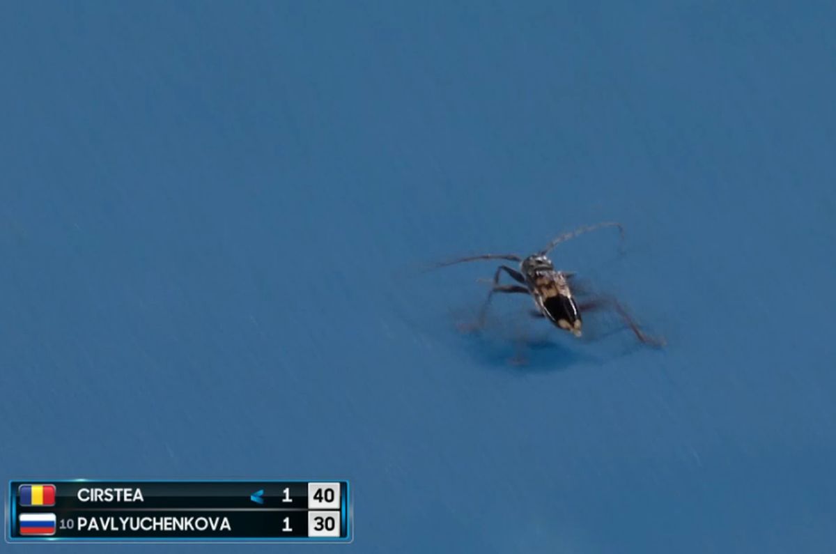 Sorana Cîrstea s-a adresat spectatorilor după calificarea în optimile Australian Open: „Vă mulțumesc că ați rămas până la ora asta!”