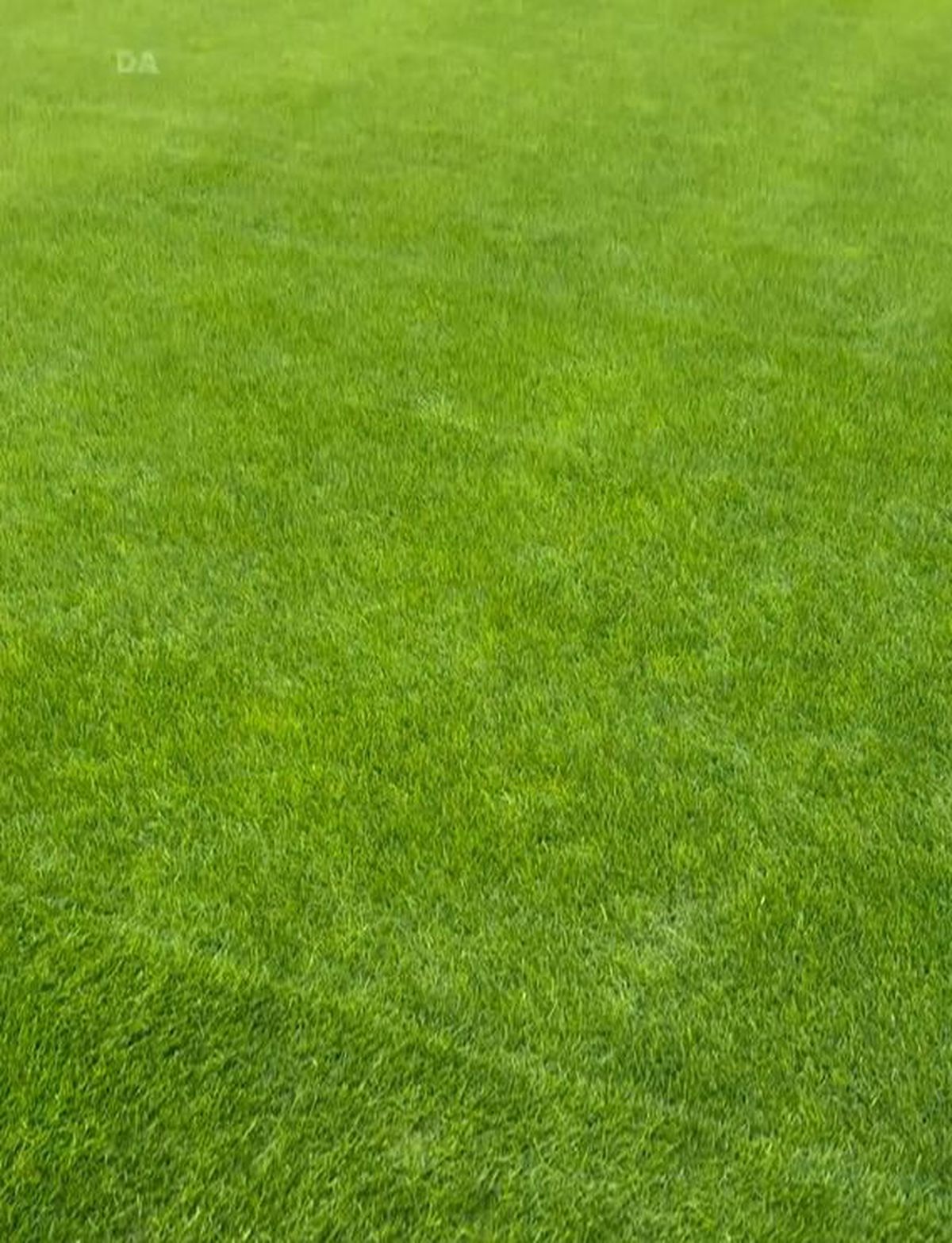 Cum arată gazonul de la Arena Națională