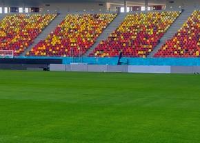 Cum arată gazonul de la Arena Națională » MM Stoica a postat imagini înainte de FCSB - UTA