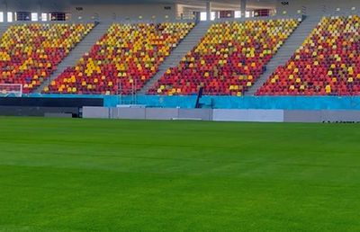 Cum arată gazonul de la Arena Națională » MM Stoica a postat imagini înainte de FCSB - UTA