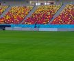 Cum arată gazonul de la Arena Națională » MM Stoica a postat imagini înainte de FCSB - UTA