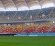 Cum arată gazonul de la Arena Națională