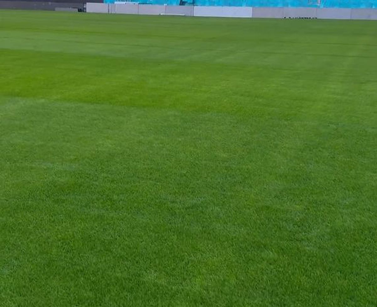 Cum arată gazonul de la Arena Națională » MM Stoica a postat imagini înainte de FCSB - UTA