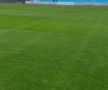 Cum arată gazonul de la Arena Națională » MM Stoica a postat imagini înainte de FCSB - UTA